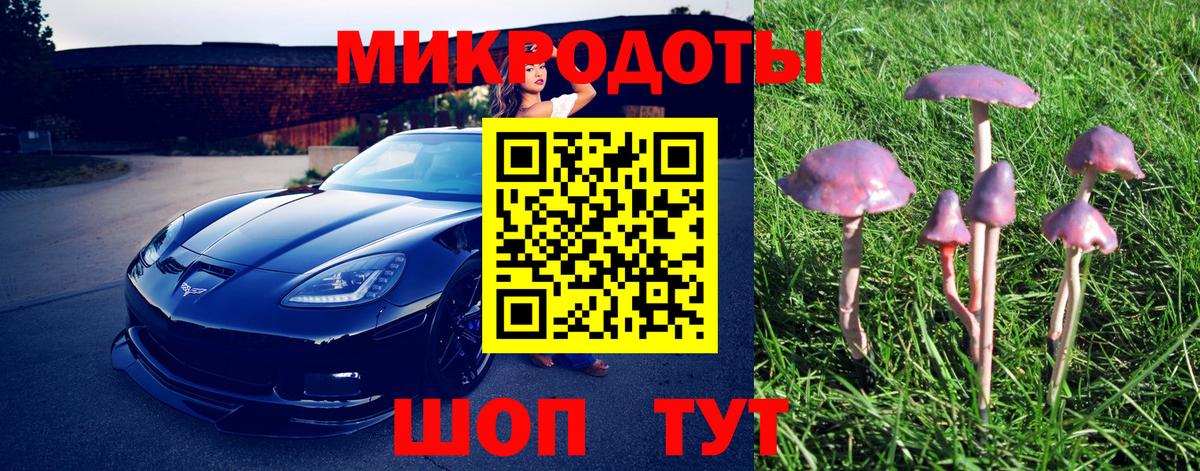 Нарткала  Галлюциногенные грибы Magic Shrooms  Вход с VPN 